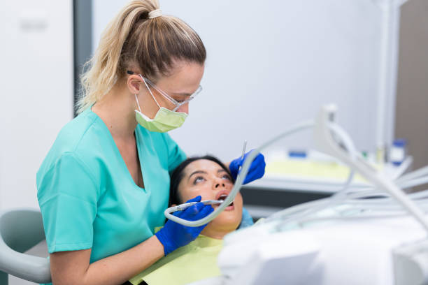 Best Emergency X-Rays and Diagnostics in Honeygo, MD